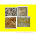 Frozen fries processing machinery